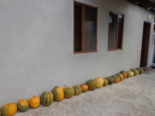 Anush`s B&B