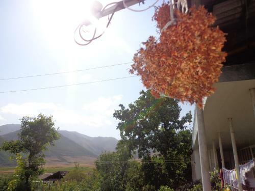 Anush`s B&B