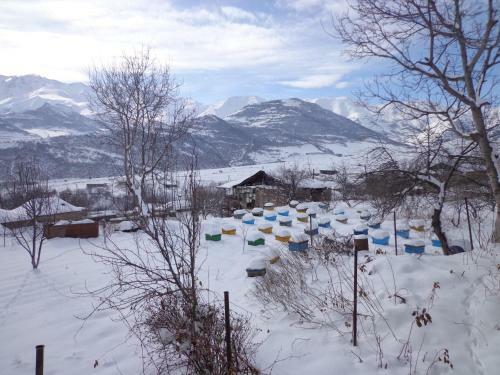 Anush`s B&B