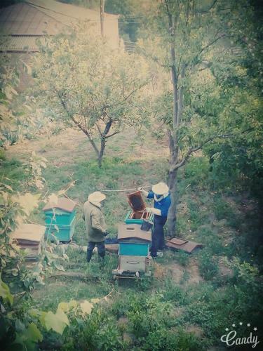 Greta`s Bed & Breakfast