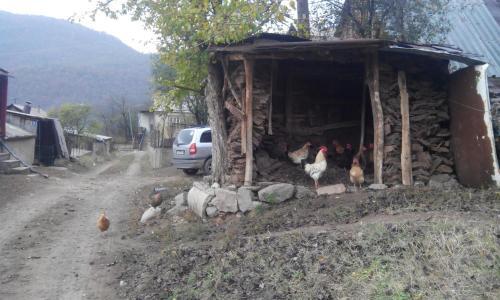 Hostal Eco Guest House In Meghradzor