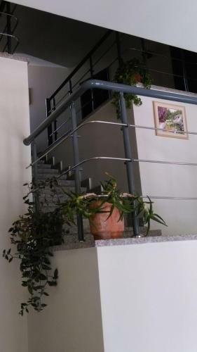 Hostal Centrale Guesthouse