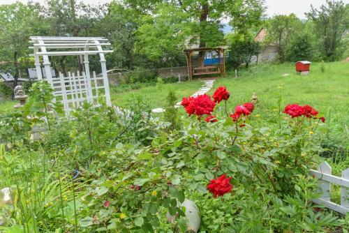 Hostal Holiday Home Ruben