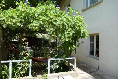 Hostal Aghasu Tun B&B