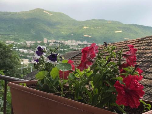 Hostal Guest House Anahit