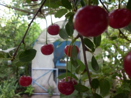 Hostal Guest House Dompolski