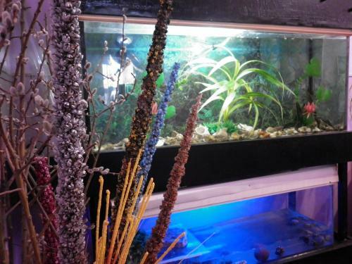 Hostal Guest House Dompolski