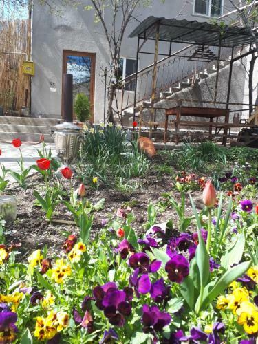 Motel Narek B&B