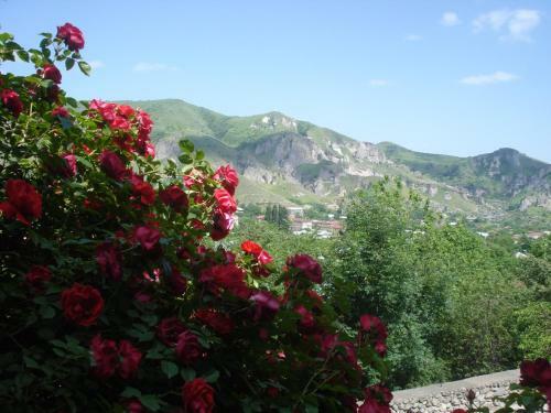 Khachik's B&B