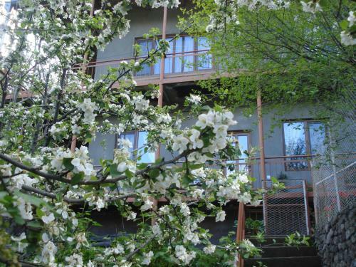 Khachik's B&B