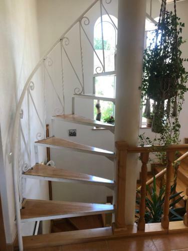 Hostal Yellow Guest House