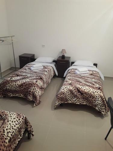 Hostal Guest House Shant