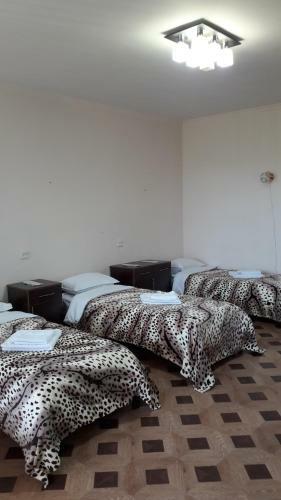 Hostal Guest House Shant