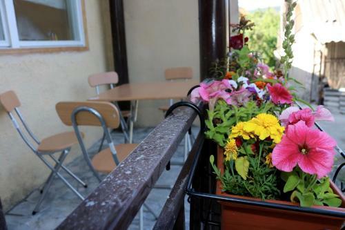 Dilijan Family House