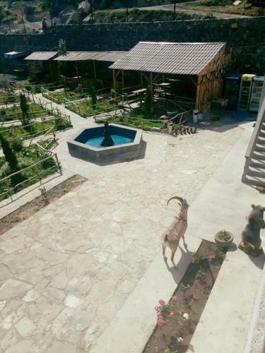 Hotel Dzorak