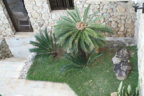 Hotel Solar Corte Real