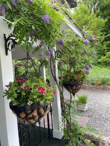 Bed & Breakfast Beacon Hermitage