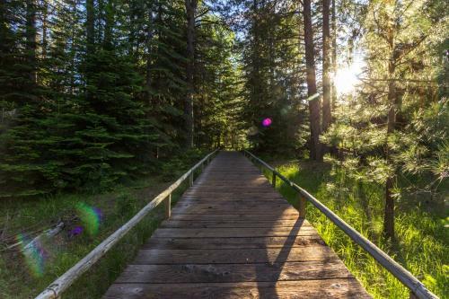 Black Butte Ranch: Grey Owl Getaway On The Greens