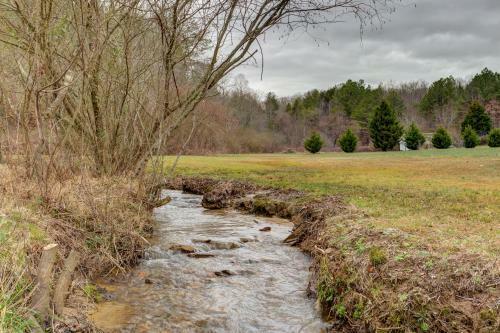 Meadow Creek