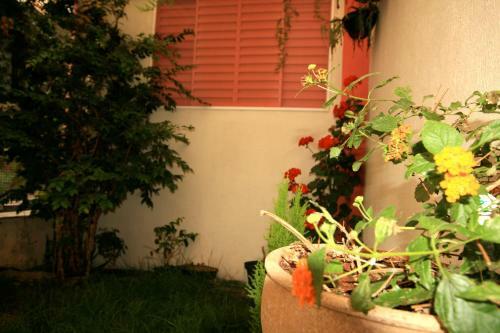 Hostal Pousada Lua Cheia