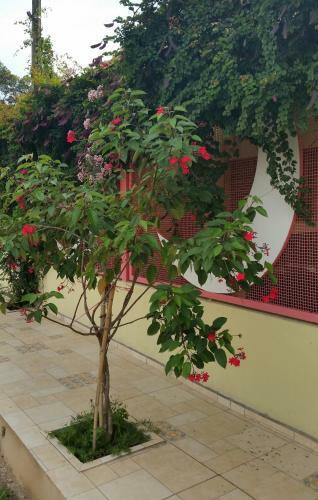 Hostal Pousada Lua Cheia