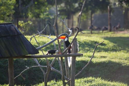 Hotel Portobello Resort & Safari