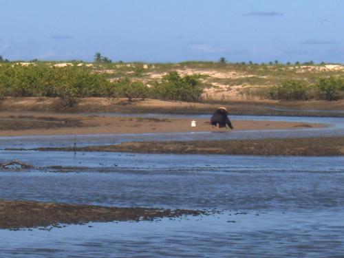Hostal Ecolodge Batel Alagoas