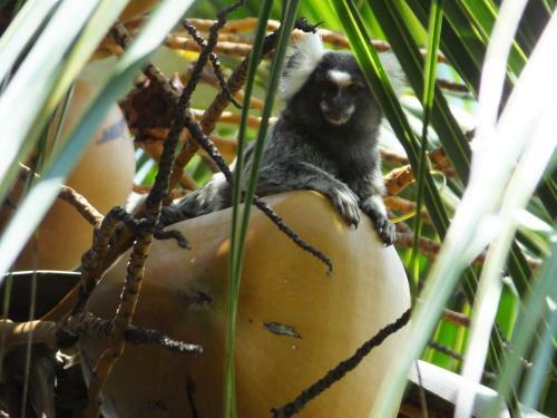 Hostal Ecolodge Batel Alagoas