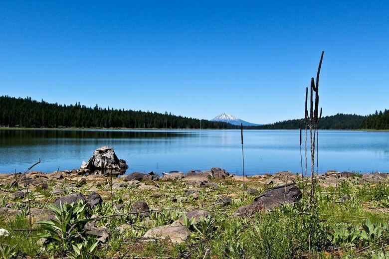 Apartamento #47 & 48 Hyatt Lake Compound - Sleeps 9