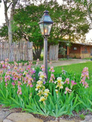 Mesa Verde Farm And Studio