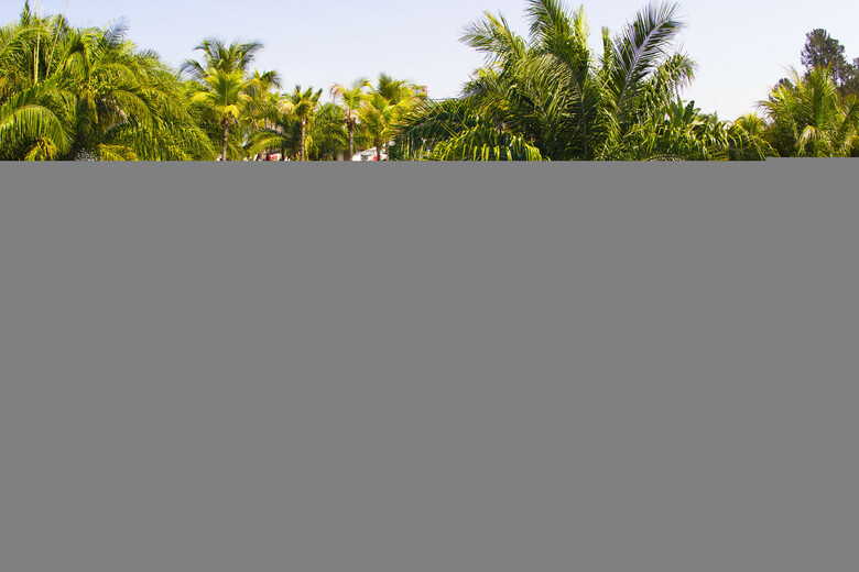 Lagoa Quente Hotel