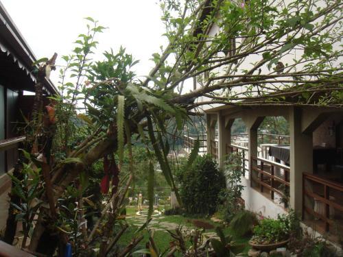 Hotel Dominguez Master