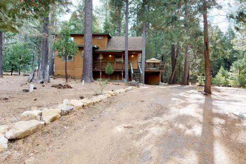 Sequoia Dreams
