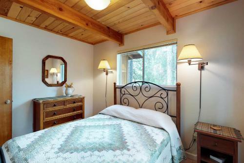 Sequoia Dreams