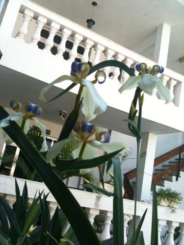 Hotel Pousada Do Canal