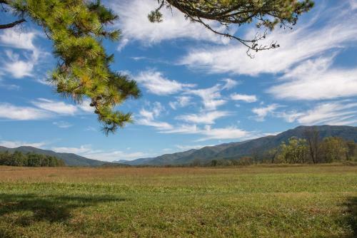 Above The Smokies