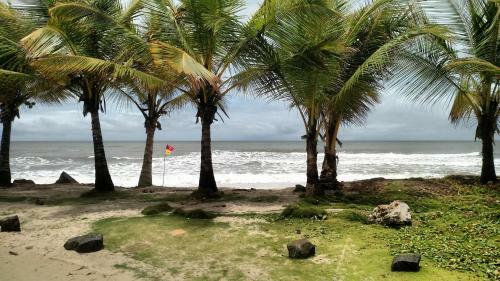 Hostal Pousada Bicho D'gua