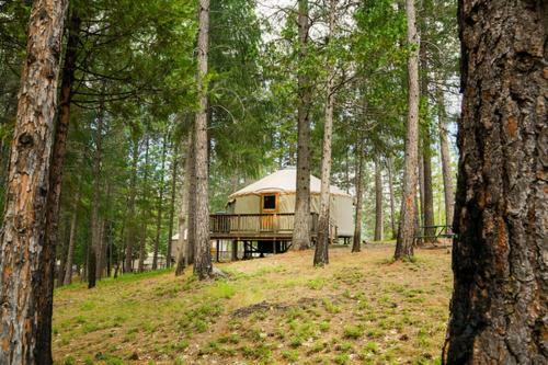 Yosemite Lakes Hillside Yurt 9