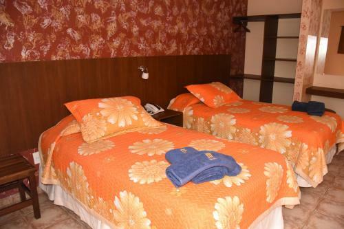 Hotel Mitru