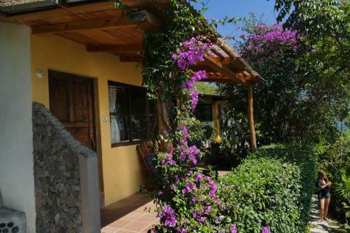 Hostal Arca De No�