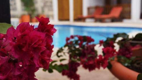 Atitlan Villas
