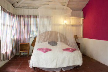 Hostal Hotel La Casa Rosa
