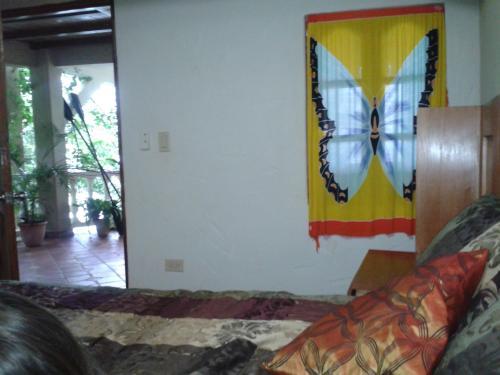 Bed & Breakfast Coibahouse