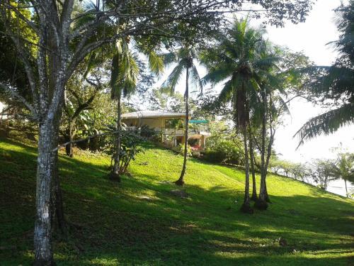 Bed & Breakfast Coibahouse