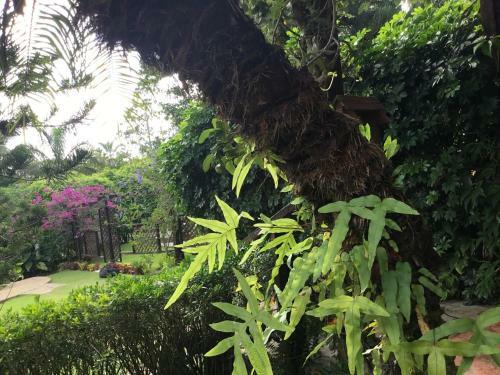 Hotel Rancho Olivier