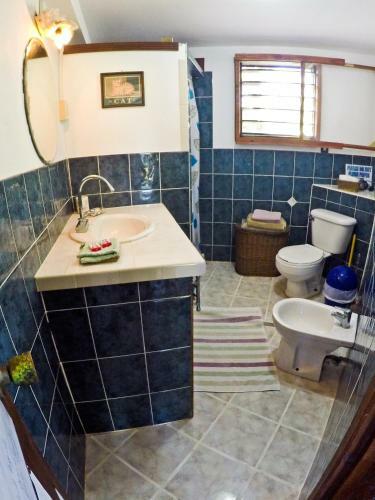 Apartamento Colibri House