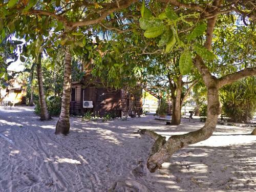 Apartamento Colibri House