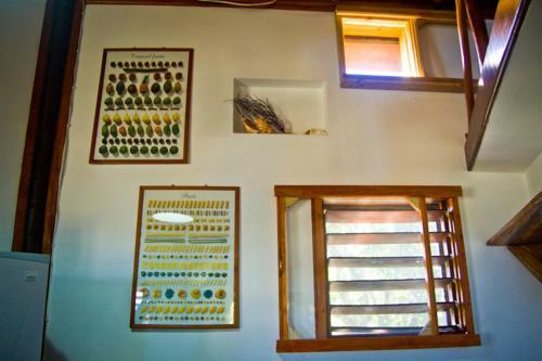 Apartamento Colibri House