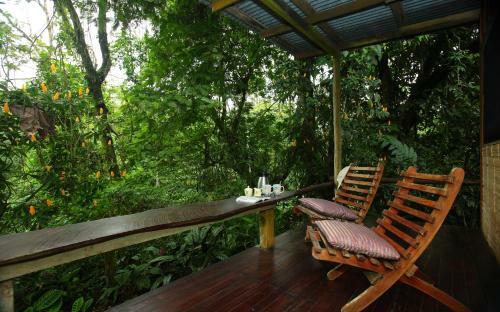 Casa Rio Blanco Eco Friendly B&B