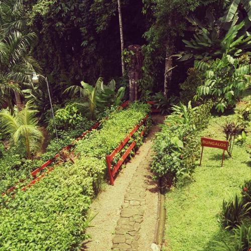 Mar Y Selva Ecolodge